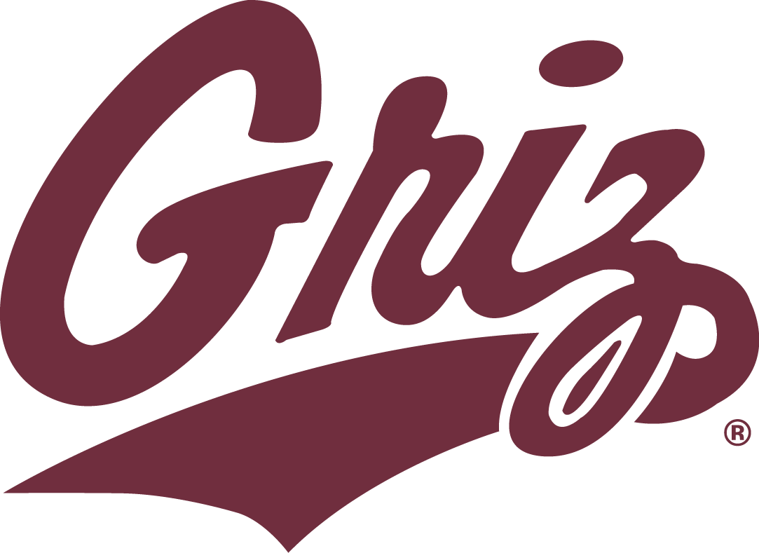 Montana Grizzlies 1996-Pres Secondary Logo DIY iron on transfer (heat transfer)